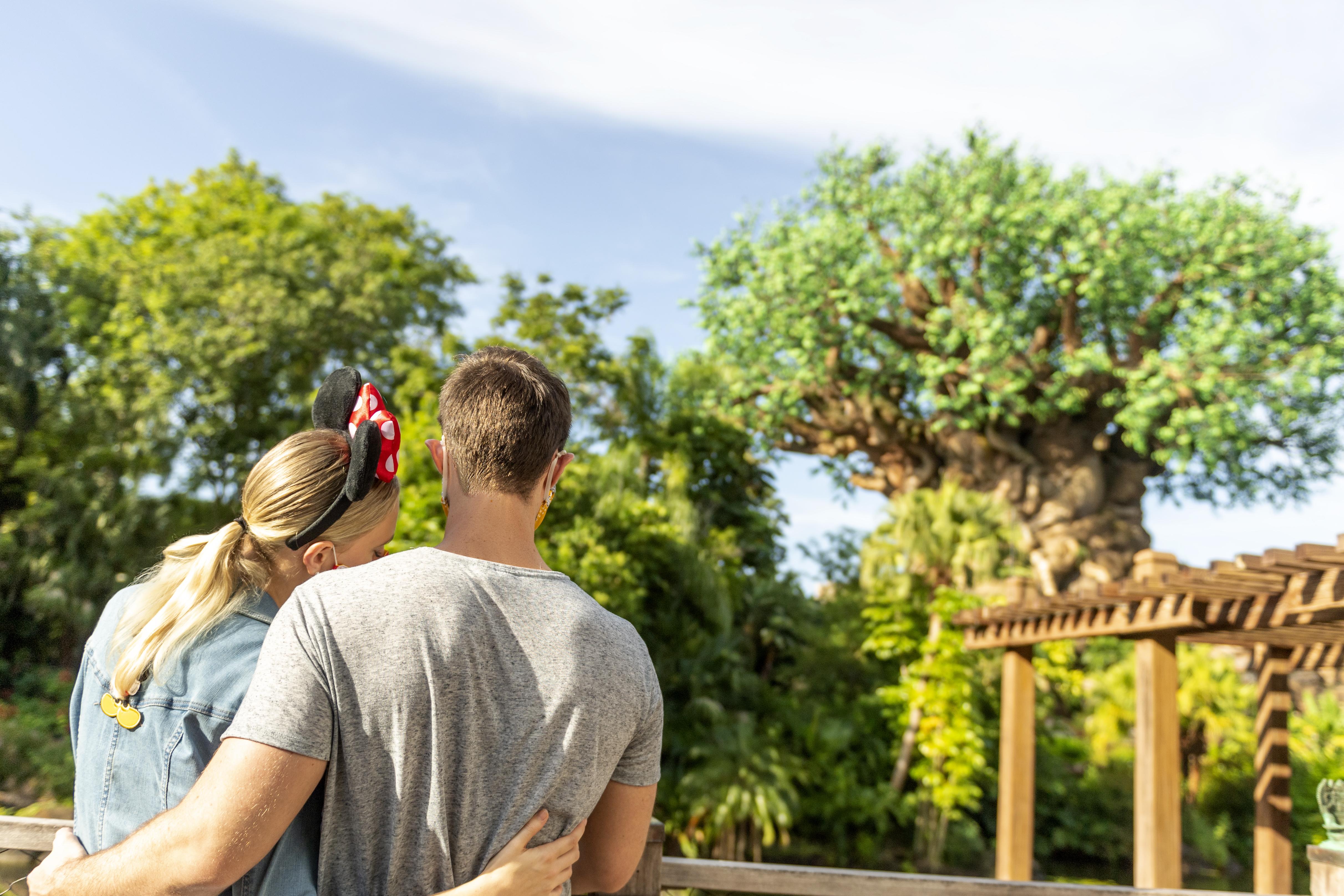 Boulder Ridge Villas At Disney'S Wilderness Lodge Лей Буена Виста Екстериор снимка